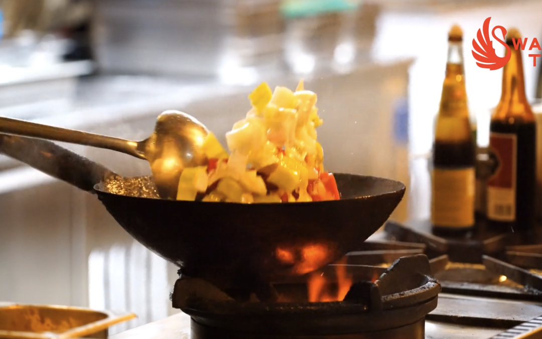 TV Presenters ad Show Hosts Wanted