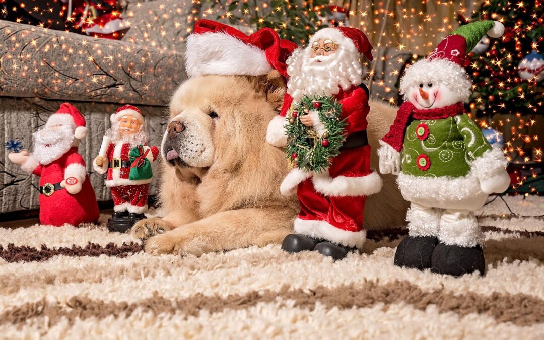 Swan Film School Xmas Time